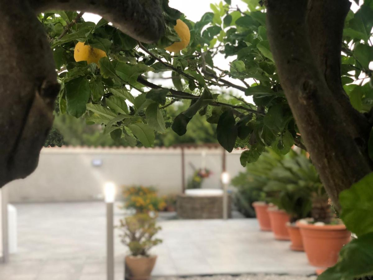 Invilla Bed&Breakfast - Quality Rooms Santa Maria di Castellabate Kültér fotó