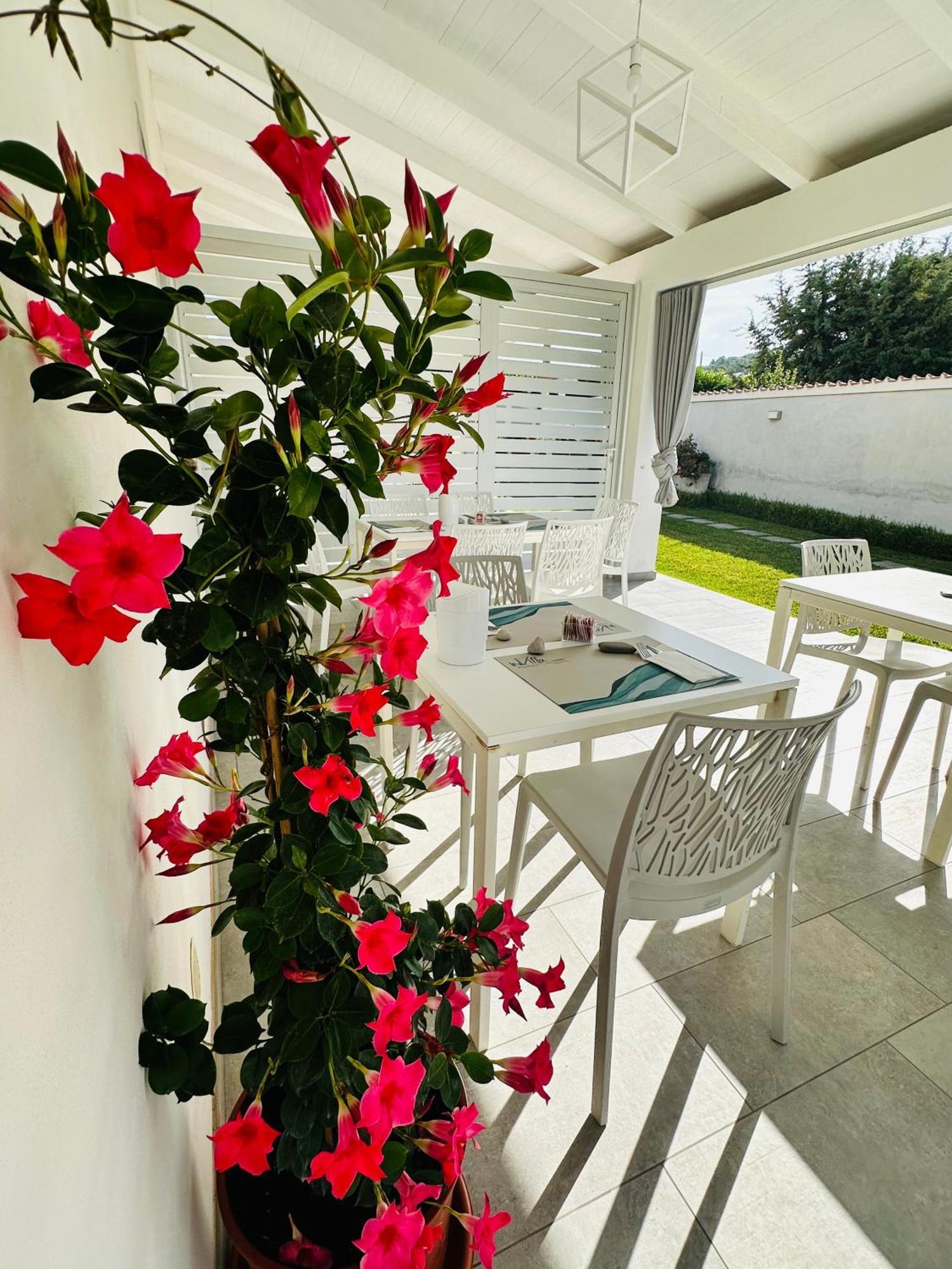 Invilla Bed&Breakfast - Quality Rooms Santa Maria di Castellabate Kültér fotó