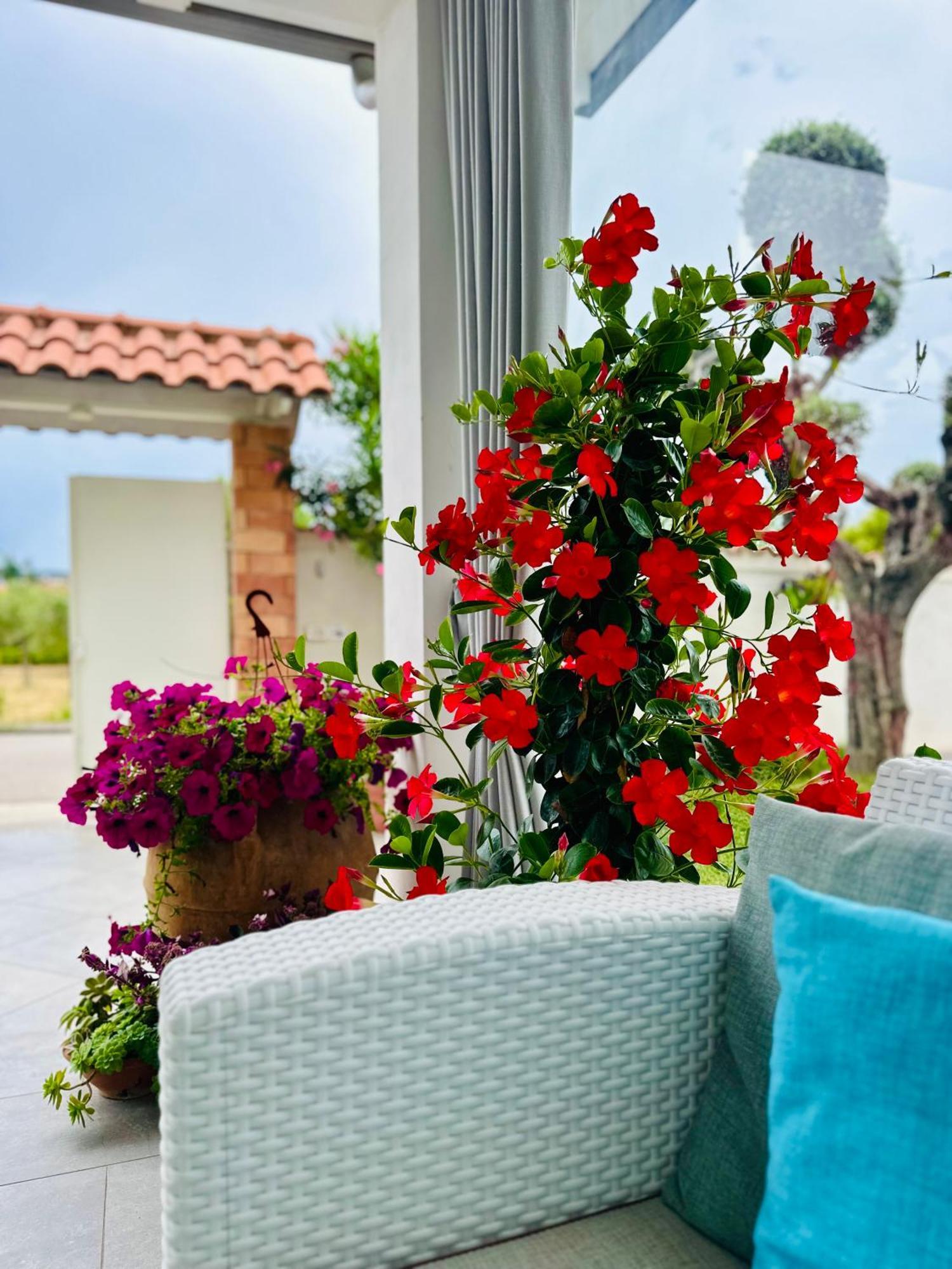 Invilla Bed&Breakfast - Quality Rooms Santa Maria di Castellabate Kültér fotó