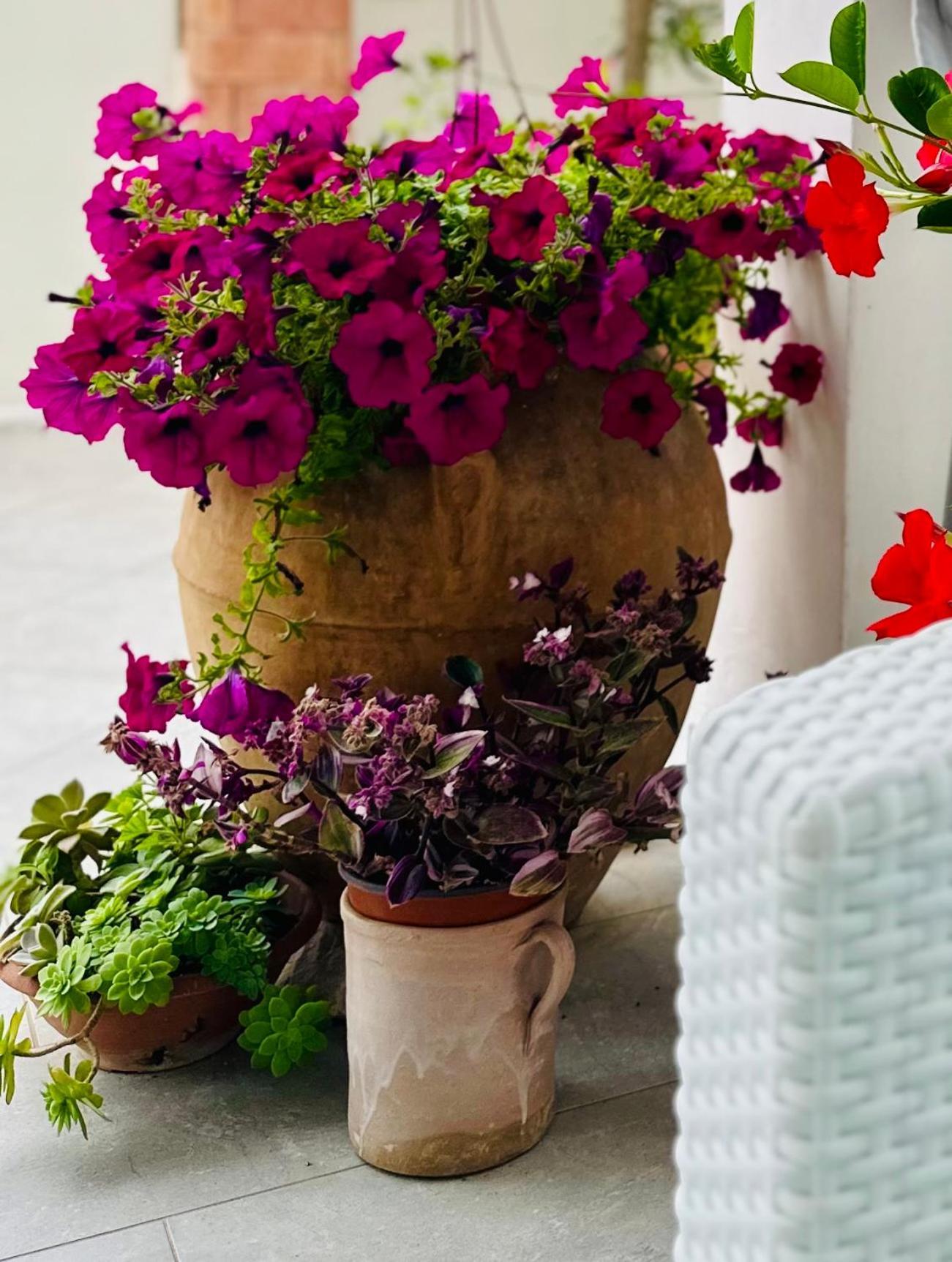 Invilla Bed&Breakfast - Quality Rooms Santa Maria di Castellabate Kültér fotó