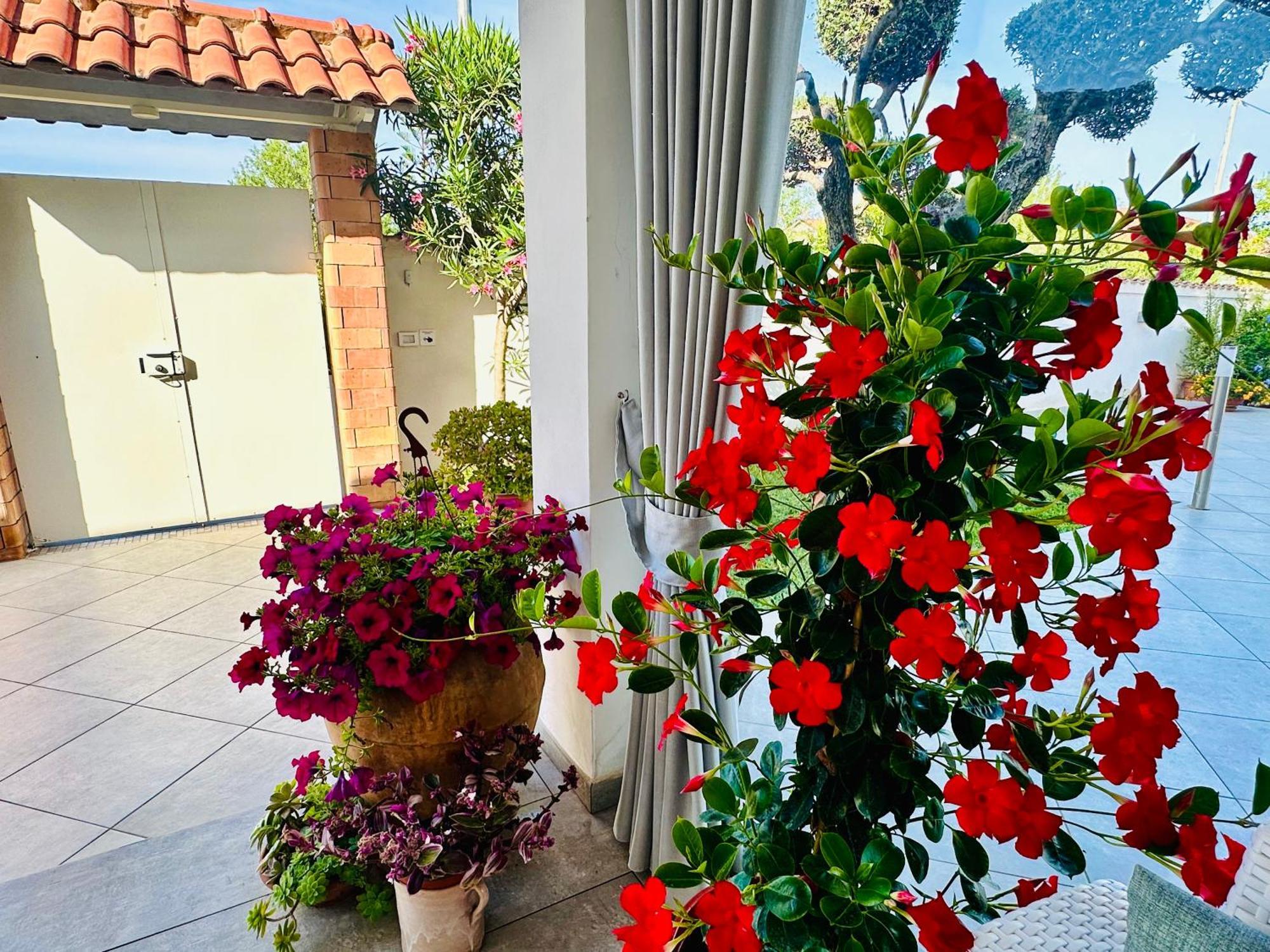 Invilla Bed&Breakfast - Quality Rooms Santa Maria di Castellabate Kültér fotó