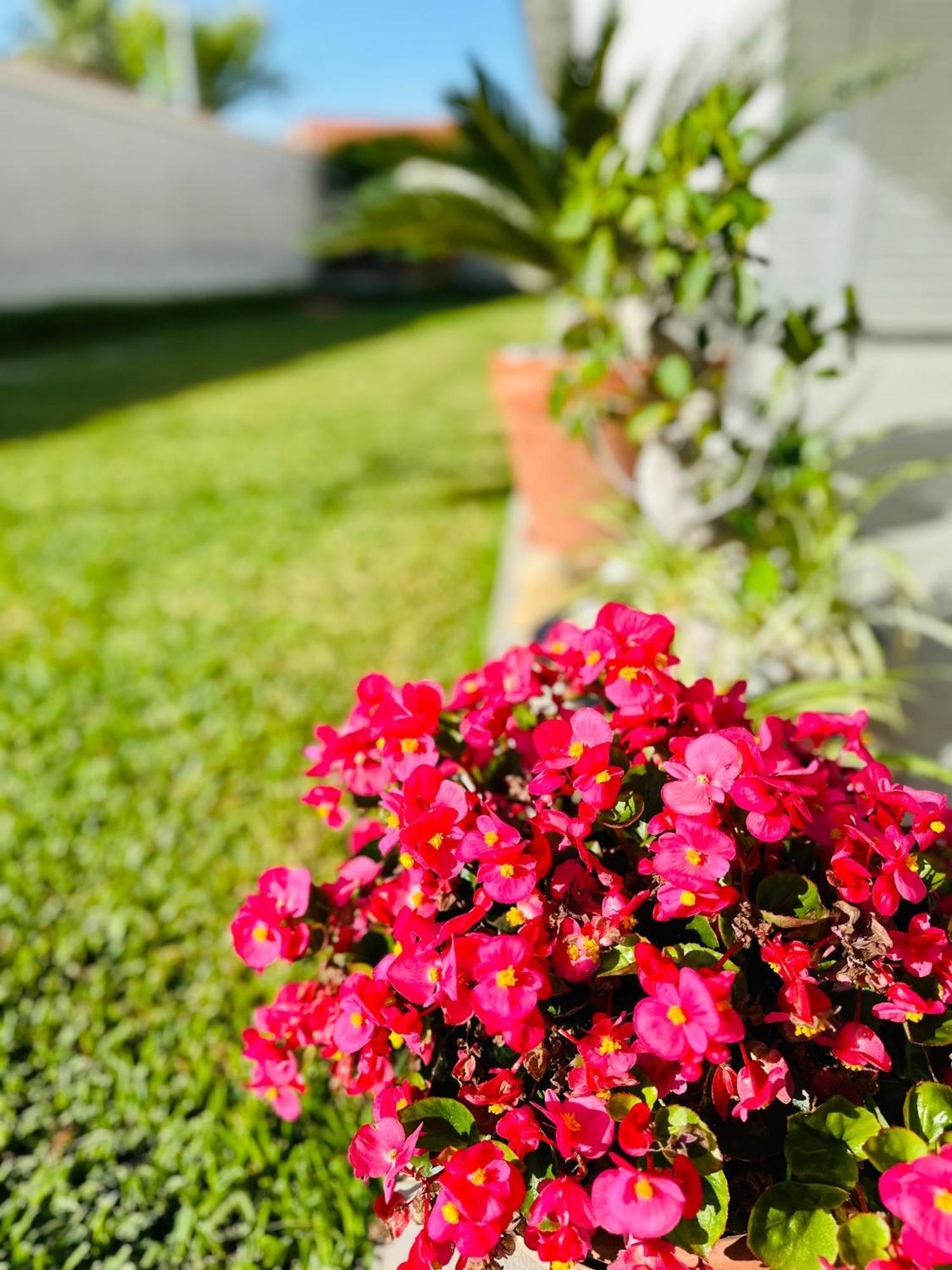 Invilla Bed&Breakfast - Quality Rooms Santa Maria di Castellabate Kültér fotó
